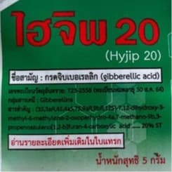 ไฮจิพ 20 - ขนาด5 กรัม กรดจิบเบอร์เรลลิค แอซิด 2% W/V ควบคุมการยืดช่อดอกของไม้ผล รูปที่ 3