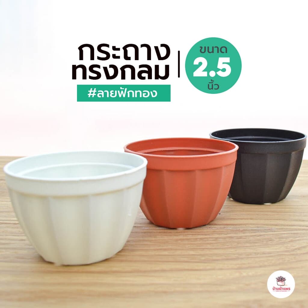 กระถางแคคตัสกลมลายฟักทอง 2.5 นิ้ว กระถางกระบองเพชร กระถางพลาสติก รูปที่ 1