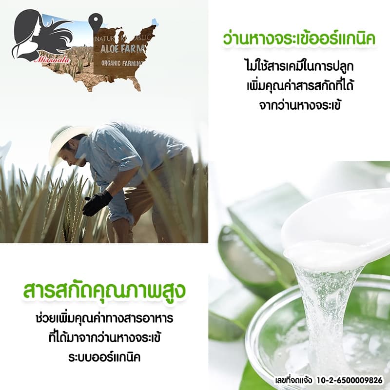 MISSNALA ESSENCE ALOE GEL เจลบำรุงผิว บำรุงผิวและซ่อมแซมผิว จากปัญหาสิว สารสกัดจากว่านหางจระเข้ 99% รูปที่ 4