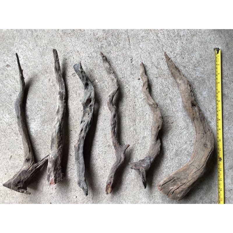 Aquarium Driftwood ราก กิ่ง ขอนไม้จมน้ำ สำหรับตกแต่งตู้ปลา งู diy พร๊อพถ่ายรูป รูปที่ 1