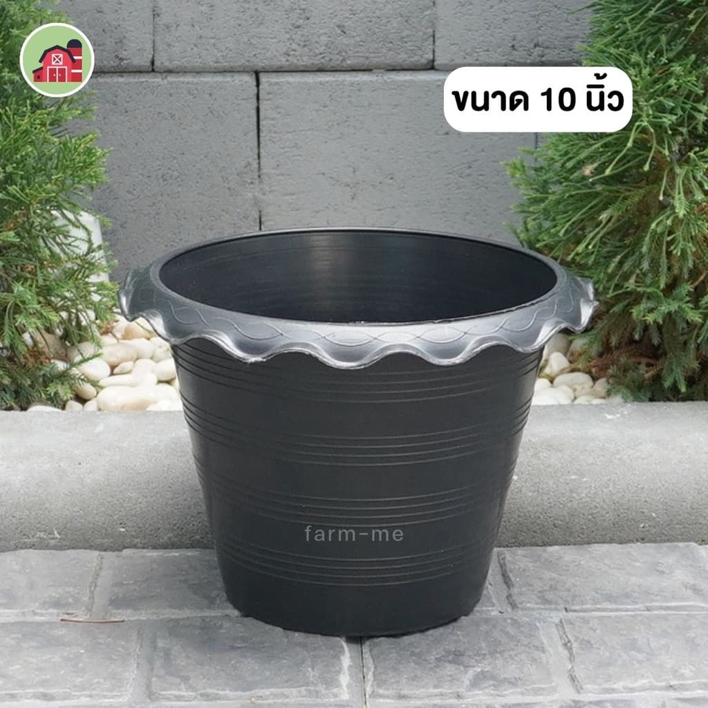 กระถางบัว กระถางปลูกบัว กระถางพลาสติก 10-12นิ้ว รูปที่ 2