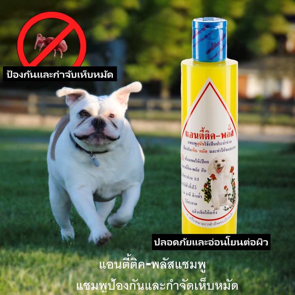 แชมพูแอนตี้ติคพลัส แชมพูหมาแมวกำจัดเห็บหมัด anti-tick plus shampoo สัตวแพทย์แนะนำ แชมพูสัตว์จุฬา แชมพูสุนัขกำจัดเห็บ แมว รูปที่ 6