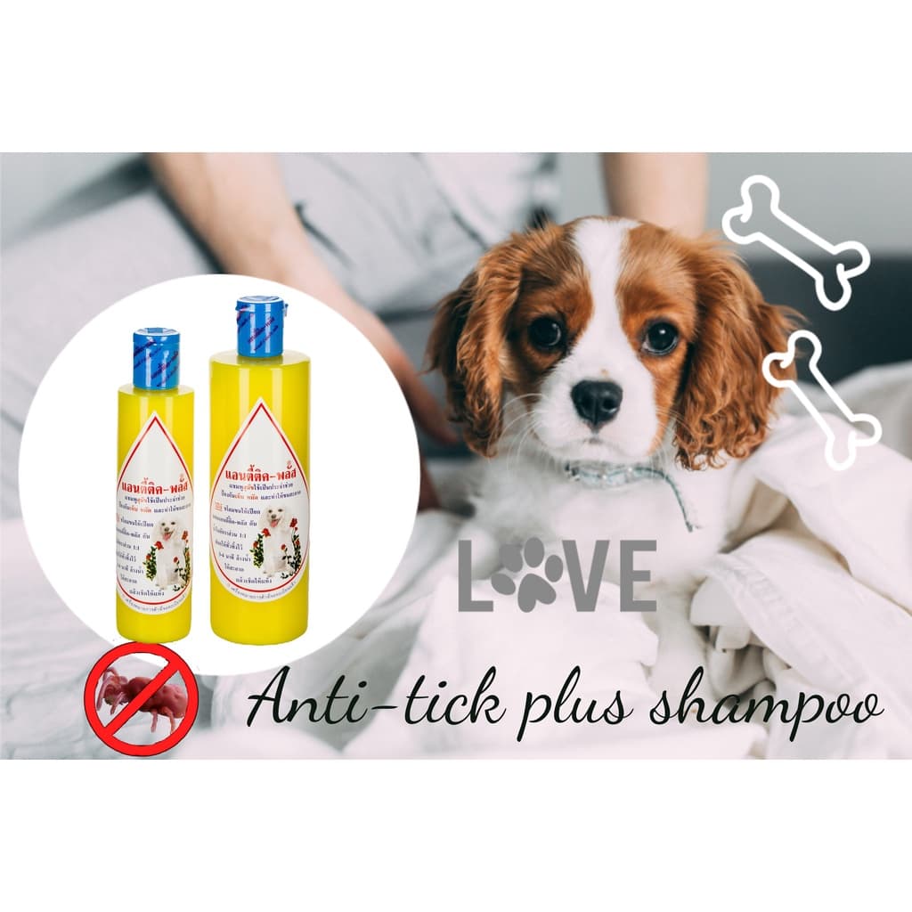 แชมพูแอนตี้ติคพลัส แชมพูหมาแมวกำจัดเห็บหมัด anti-tick plus shampoo สัตวแพทย์แนะนำ แชมพูสัตว์จุฬา แชมพูสุนัขกำจัดเห็บ แมว รูปที่ 7