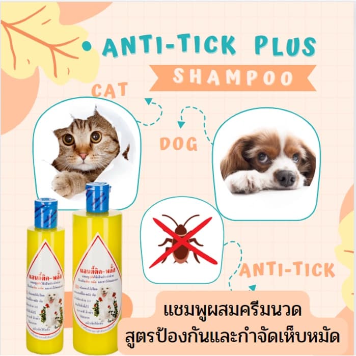 แชมพูแอนตี้ติคพลัส แชมพูหมาแมวกำจัดเห็บหมัด anti-tick plus shampoo สัตวแพทย์แนะนำ แชมพูสัตว์จุฬา แชมพูสุนัขกำจัดเห็บ แมว รูปที่ 5