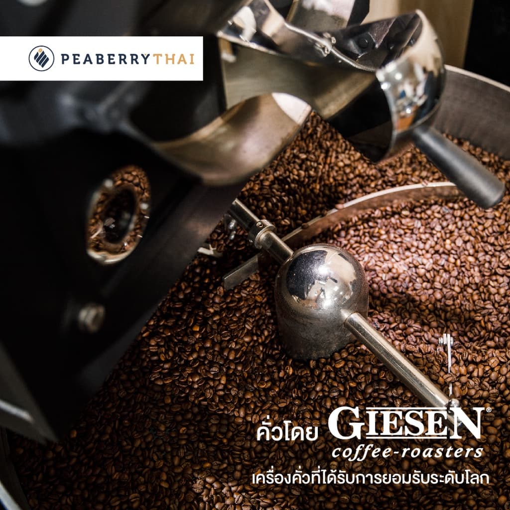 Pacamara เมล็ดกาแฟ Colombia Decaffeinate 250 กรัม รูปที่ 3