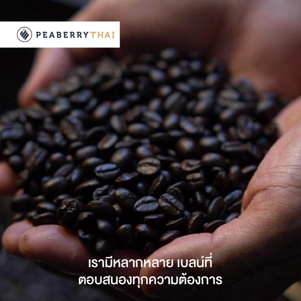 Pacamara เมล็ดกาแฟ Colombia Decaffeinate 250 กรัม รูปที่ 2