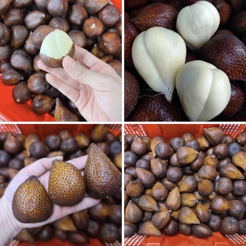 #สละอินโดนิเซีย นำเข้าแท้ 100% อร่อยเกินต้าน ราคาเบาๆ สั่งเลย‼ รูปที่ 1
