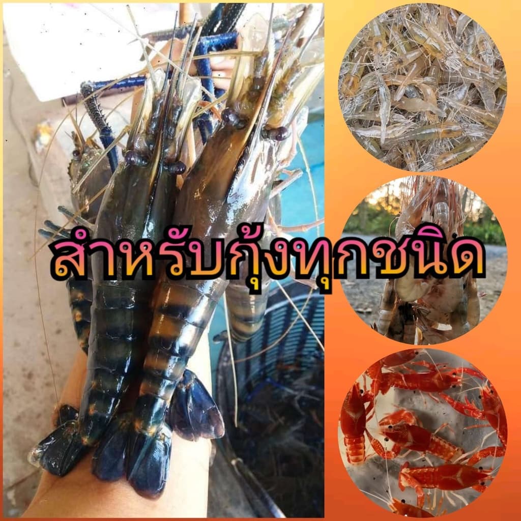 อาหารกุ้ง คาร์กิล 25Kg ยกกระสอบ 38% ราคาประหยัด คุณภาพดี น้ำไม่เสีย โปรตีนสูง รูปที่ 4