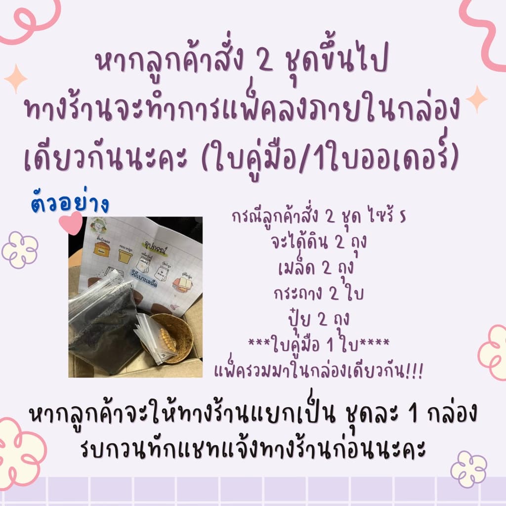 ชุดปลูกผัก สวนครัว สำหรับมือใหม่หัดปลูก ผักสลัด ผักกวางตุ้ง ผักบุ้ง ต้นอ่อนทานตะวัน ผักชี อุปกรณ์ครบพร้อมปลูก รูปที่ 8
