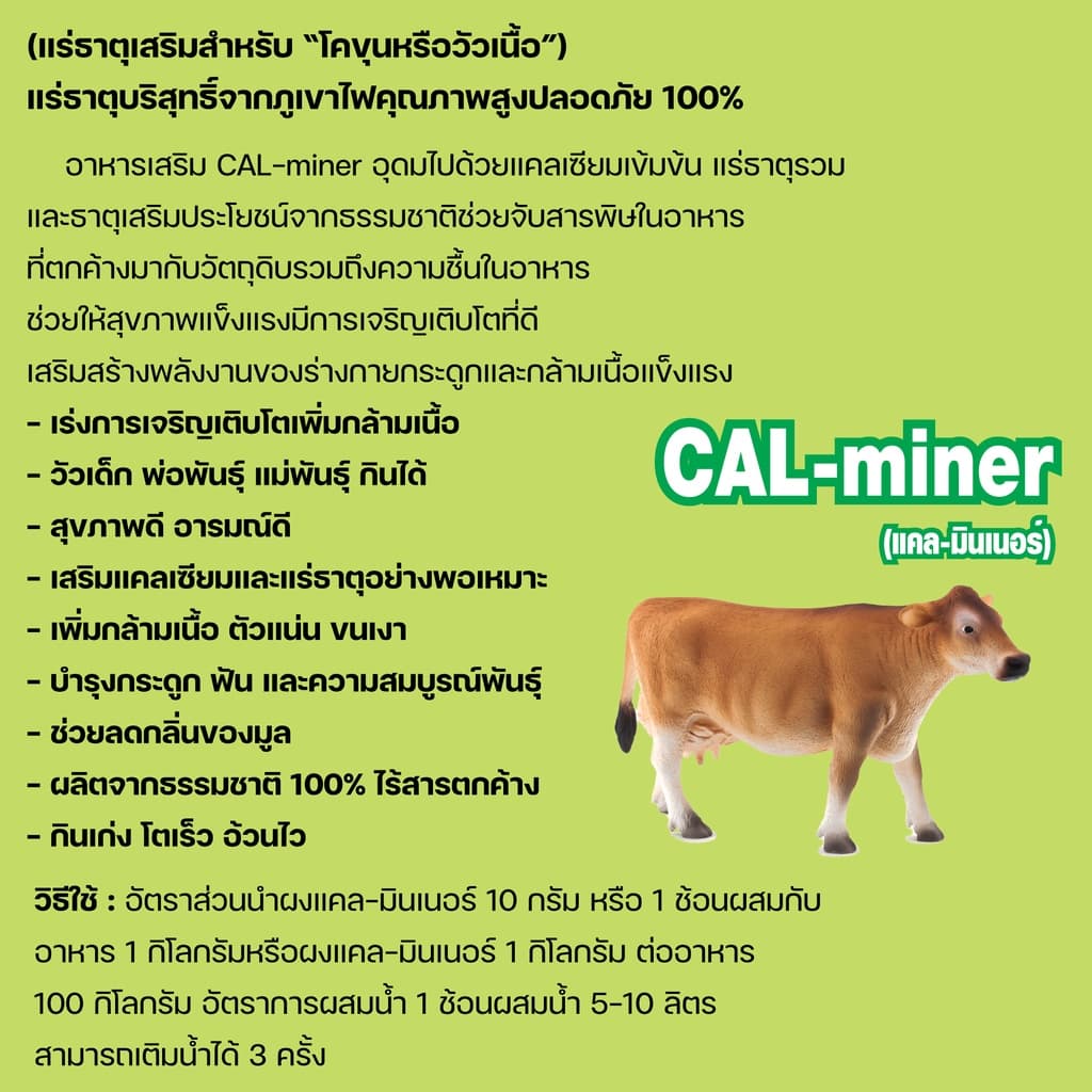 อาหารเสริมวัวขุนวัวเนื้อ1000กรัมCAL MINERแร่ธาตุและแคลเซียมเข้มข้นจากภูเขาไฟธรรมชาติ100% กินเก่งอ้วนไ่วช่วยดีท็อกซ์ลำไส้ รูปที่ 2