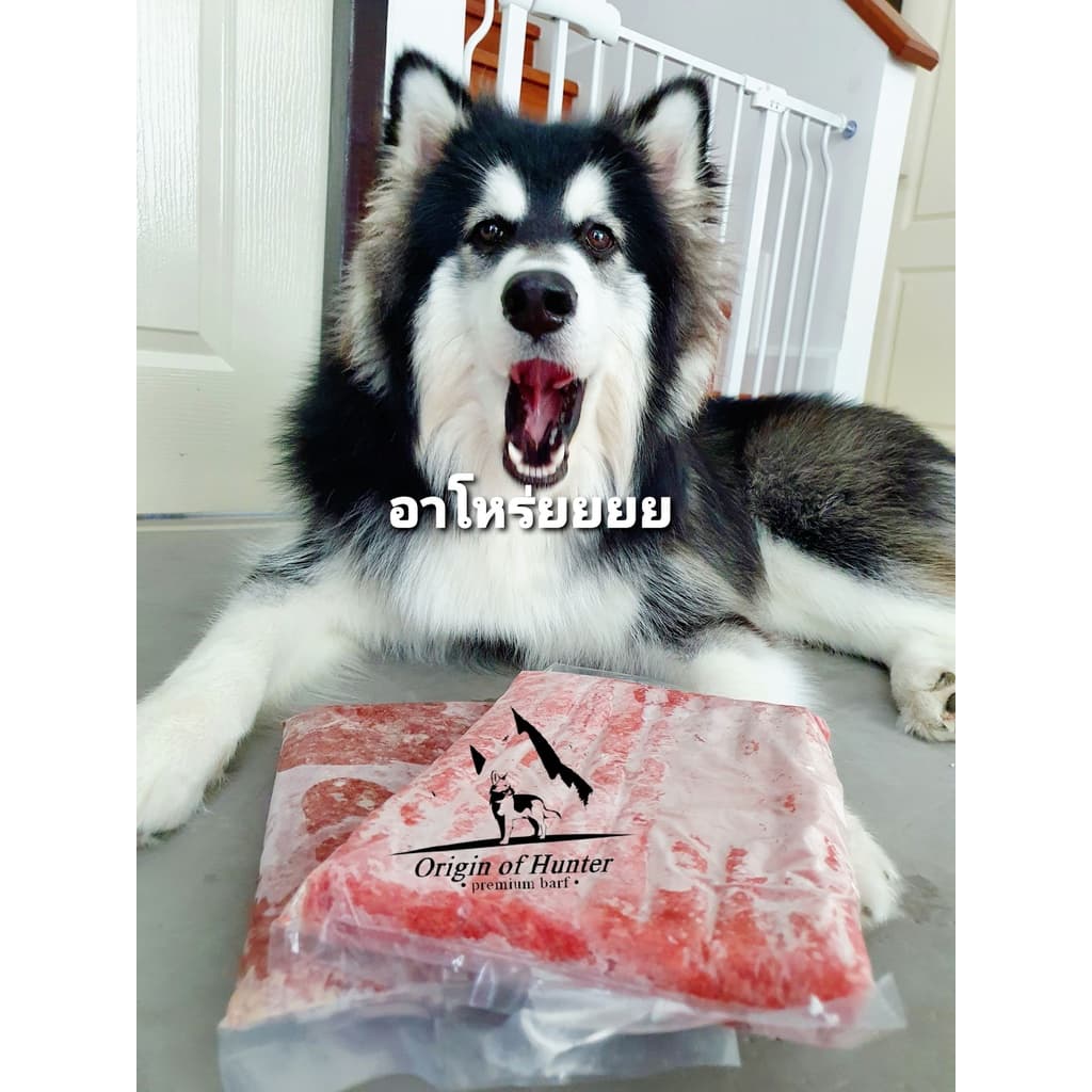 Premium BARF บาร์ฟ โครงไก่บด เกรดพรีเมี่ยม บดละเอียด อาหารสุนัข ใช้วัตถุดิบสำหรับเกรดคนทาน บาฟ 1kg. Origin of Hunter รูปที่ 7