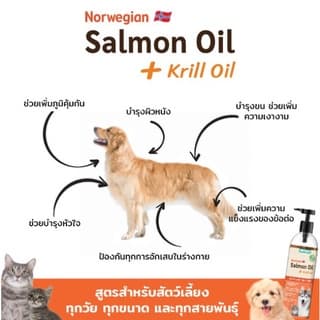 น้ำมันปลาแซลม่อน แท้ จากนอร์เวย์ ผสมคริลล์ออย ไม่แต่งสี ไม่แต่งกลิ่น 500 ml. สำหรับหมาแมว Salmon oil for pet รูปที่ 5