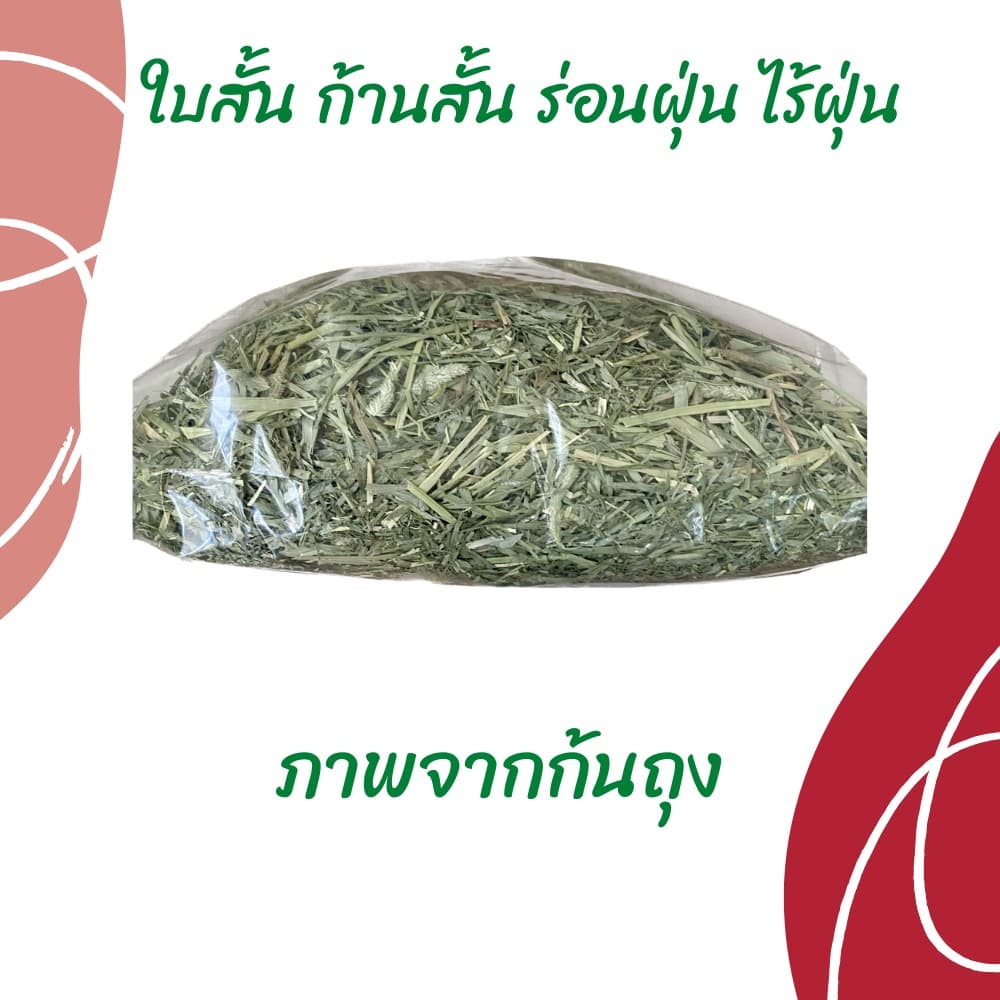 หญ้าทิมโมธีเกรดซุปเปอร์พรีเมี่ยม 400g /1kg ร่อนฝุ่น ดอกเยอะ หอม เขียว หญ้าทิโมธีพรีเมียม รูปที่ 8