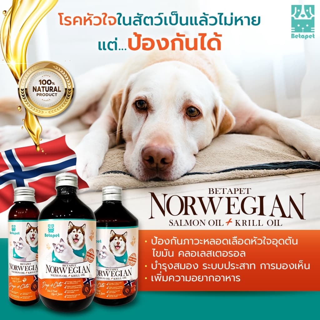 น้ำมันปลาแซลม่อน แท้ จากนอร์เวย์ ผสมคริลล์ออย ไม่แต่งสี ไม่แต่งกลิ่น 500 ml. สำหรับหมาแมว Salmon oil for pet รูปที่ 2