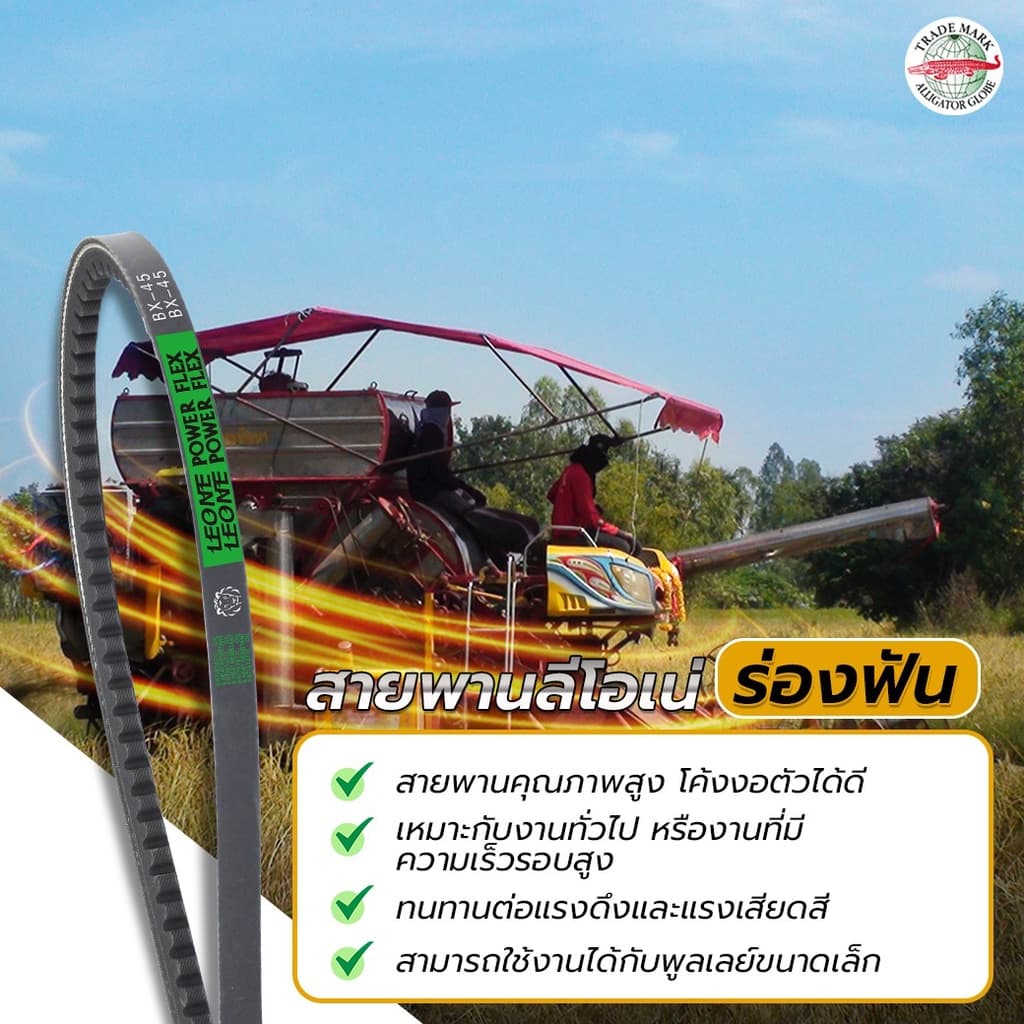 จระเข้ลูกโลก สายพาน B70 B71 B72 B73 B74 B75 B76 B77 B78 B79 70 71 72 73 74 75 76 77 78 79 รูปที่ 3