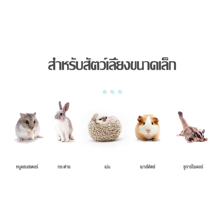 yugogoสเปรย์ดับกลิ่นฉี่ พื้นที่อยู่อาศัย สำหรับสัตว์เลี้ยงขนาดเล็ก หนูแฮมสเตอร์ กระต่าย เม่น เมาส์ดัตช์ ชูการ์ไรเดอร์ รูปที่ 8