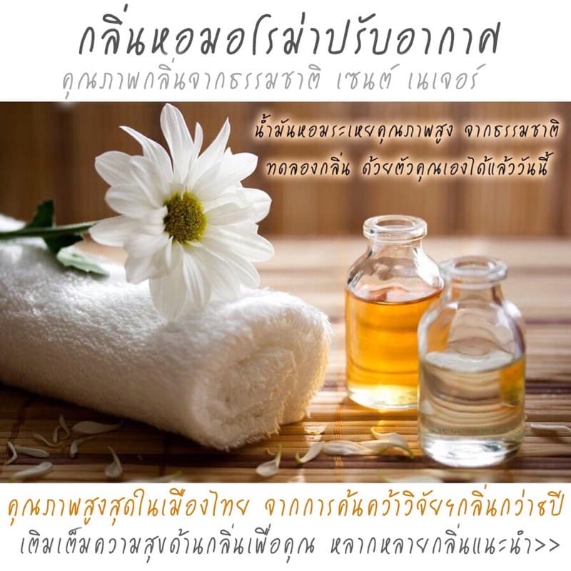‼ ‼ มินิไซด์ 15ml.ก้านไม้หอมปรับอากาศ SCENT NATURE หอมทนที่สุด รูปที่ 8