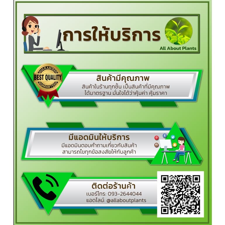 ซูมิโซย่า 100g. ฟลูมิออกซาซิน สารคุมและกำจัดหญ้าใบแคบบกว้างและกก คุมแห้งในมันสำปะหลัง อ้อย ข้าว ถั่วเหลืองallaboutplants รูปที่ 7