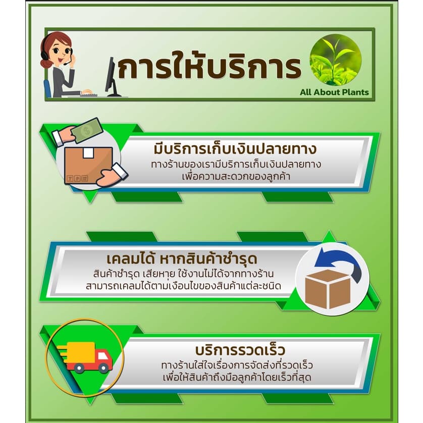 ซูมิโซย่า 100g. ฟลูมิออกซาซิน สารคุมและกำจัดหญ้าใบแคบบกว้างและกก คุมแห้งในมันสำปะหลัง อ้อย ข้าว ถั่วเหลืองallaboutplants รูปที่ 6