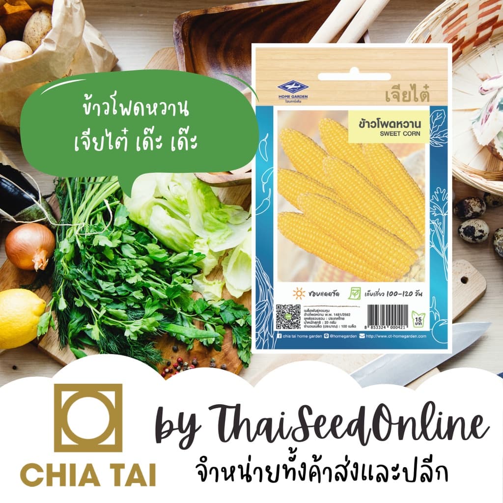 CTOP เมล็ดพันธุ์ ข้าวโพดหวาน 100 เมล็ด ตราเจียไต๋ Sweet Corn รูปที่ 1