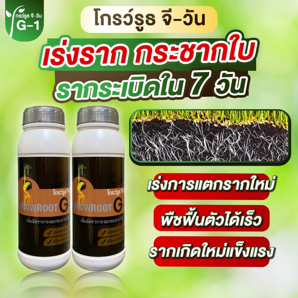 <โปรพิเศษ> ยาเร่งราก แบบผง Growroot-G1 เร่งใบ น้ำยาเร่งราก กระตุ้นการแตกใบอ่อน บำรุงราก ต้นสมบูรณ์ รูปที่ 3