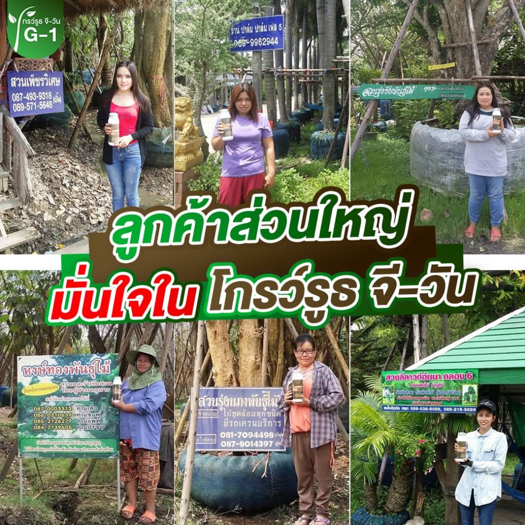 <โปรพิเศษ> ยาเร่งราก แบบผง Growroot-G1 เร่งใบ น้ำยาเร่งราก กระตุ้นการแตกใบอ่อน บำรุงราก ต้นสมบูรณ์ รูปที่ 5