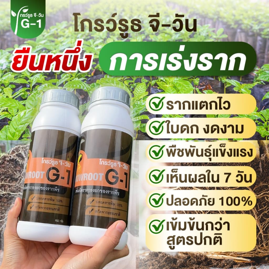 <โปรพิเศษ> ยาเร่งราก แบบผง Growroot-G1 เร่งใบ น้ำยาเร่งราก กระตุ้นการแตกใบอ่อน บำรุงราก ต้นสมบูรณ์ รูปที่ 4