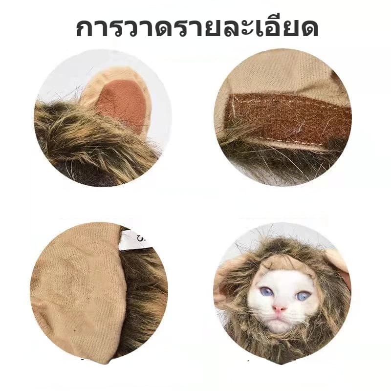 หมวกแมว หมวกสัตว์เลี้ยง วิกผมแมวน่ารัก รูปร่างสิงโต อุปกรณ์ปาร์ตี้แฟนซ รูปที่ 5