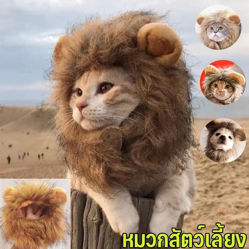 หมวกแมว หมวกสัตว์เลี้ยง วิกผมแมวน่ารัก รูปร่างสิงโต อุปกรณ์ปาร์ตี้แฟนซ รูปที่ 7