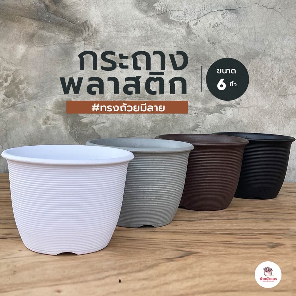 กระถางพลาสติก 6นิ้ว - 8นิ้ว #ทรงถ้วยมีลายเส้น กระถางพลาสติก กระถางแคคตัส กระถางกระบองเพชร รูปที่ 8