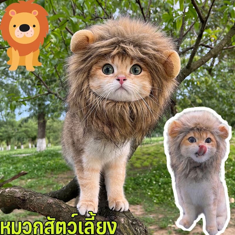 หมวกแมว หมวกสัตว์เลี้ยง วิกผมแมวน่ารัก รูปร่างสิงโต อุปกรณ์ปาร์ตี้แฟนซ รูปที่ 8