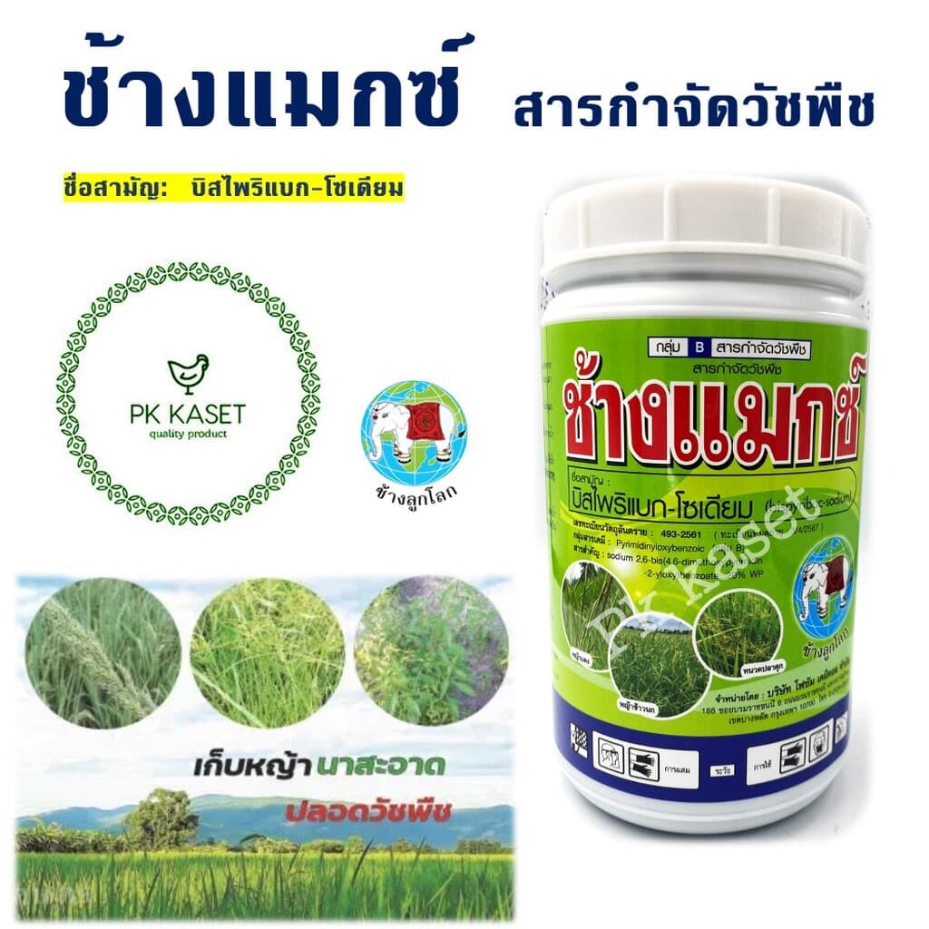 ช้างเเมกซ์ สารกำจัดวัชพืชในนาข้าว รูปที่ 1