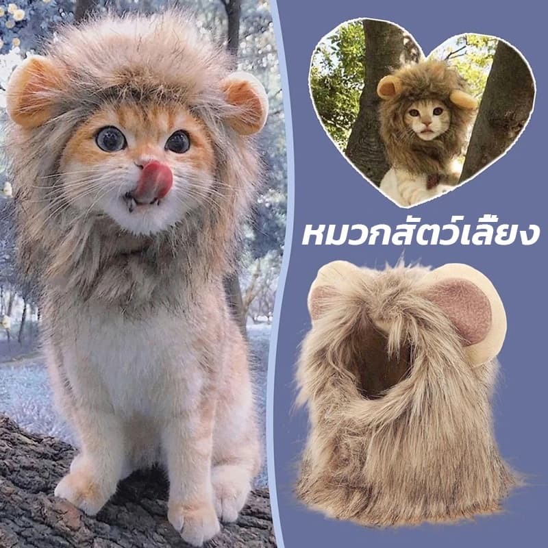 หมวกแมว หมวกสัตว์เลี้ยง วิกผมแมวน่ารัก รูปร่างสิงโต อุปกรณ์ปาร์ตี้แฟนซ รูปที่ 6