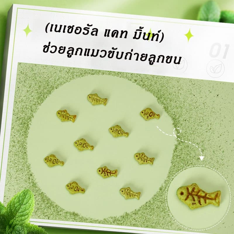 ขนมแมว ผงแคทนิป กัญชาแมว แคตนิป ขับก้อนขน รูปร่างปลาขนาดเล็ก มินิคุกกี้ ฟันกรามสำหรับสัตว์เลี้ยง80g รูปที่ 4