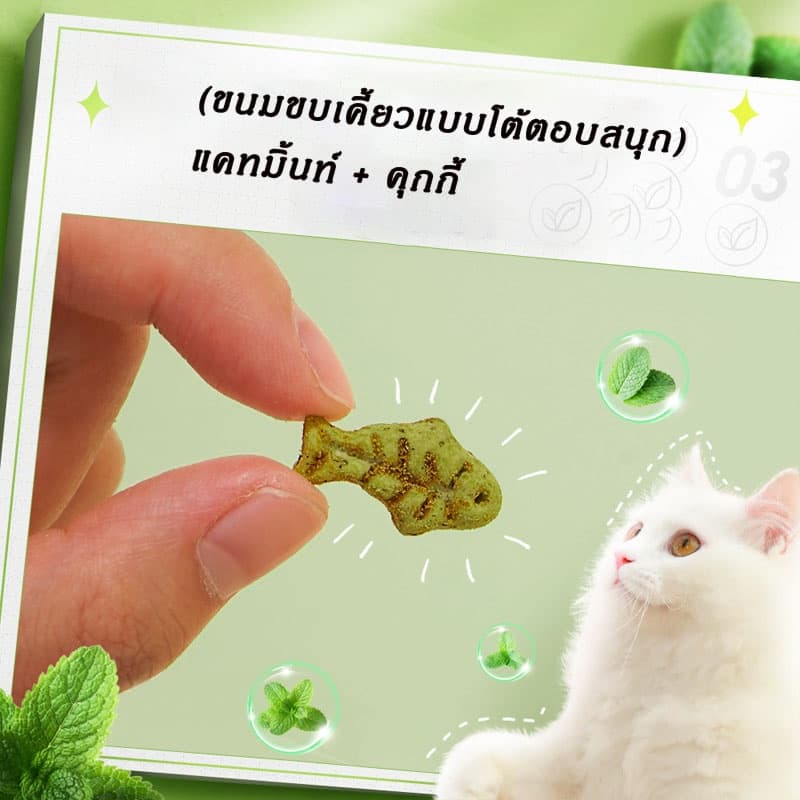 ขนมแมว ผงแคทนิป กัญชาแมว แคตนิป ขับก้อนขน รูปร่างปลาขนาดเล็ก มินิคุกกี้ ฟันกรามสำหรับสัตว์เลี้ยง80g รูปที่ 5