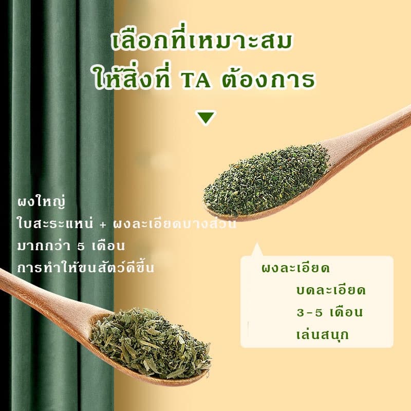 ขนมแมว ผงแคทนิป กัญชาแมว แคตนิป ขับก้อนขน รูปร่างปลาขนาดเล็ก มินิคุกกี้ ฟันกรามสำหรับสัตว์เลี้ยง80g รูปที่ 9