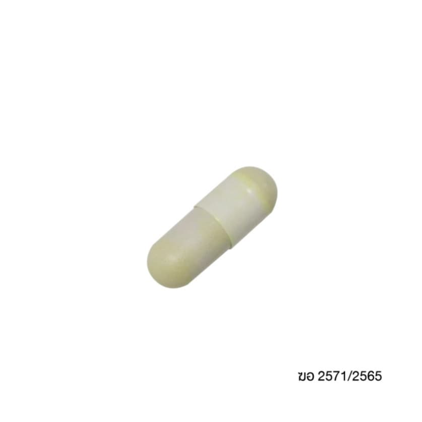 GPO Selext CURMIN PROBIOTICS 30แคปซูล ซีเล็ก เคอมิน โปรไบโอติกส์ อาหารเสริม เพื่อสุขภาพ รูปที่ 5