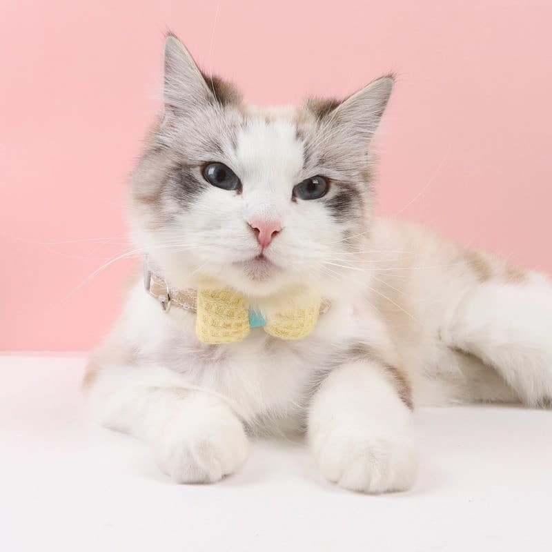 4 สี ปลอกคอแมว สไตล์ญี่ปุ่น ปลอกคอโบว์ Pet Collar ป้องกันการสูญหาย CW113 รูปที่ 5