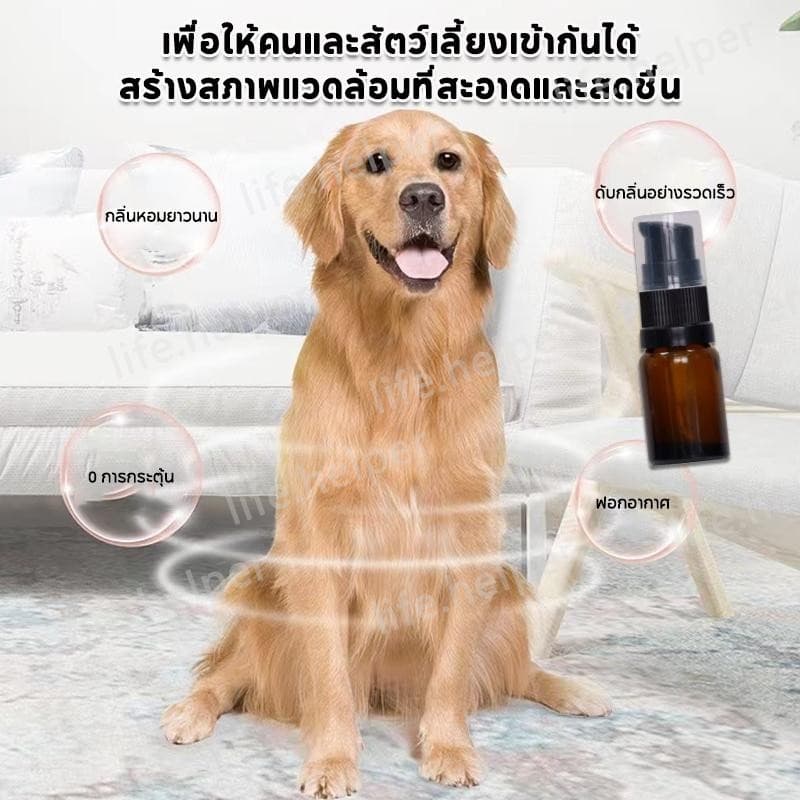 เอฟเฟกต์นั้นดีมาก น้ำหอมดับกลิ่นห้องน้ำ กลิ่นหอมสดชื่น ติดทนนาน น้ำหอมหยดชักโครก น้ำหอมปรับอากาศ 18 ml รูปที่ 3