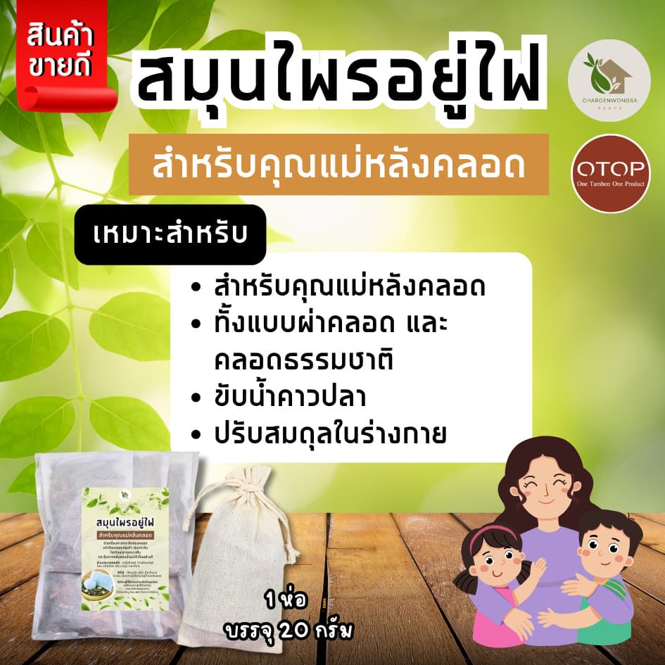 สมุนไพรอยู่ไฟ สมุนไพรอบตัว สูตรคุณแม่หลังคลอด พุงยุบ ลดไว ลดน้ำหนัก กระตุ้นน้ำนม รูปที่ 5