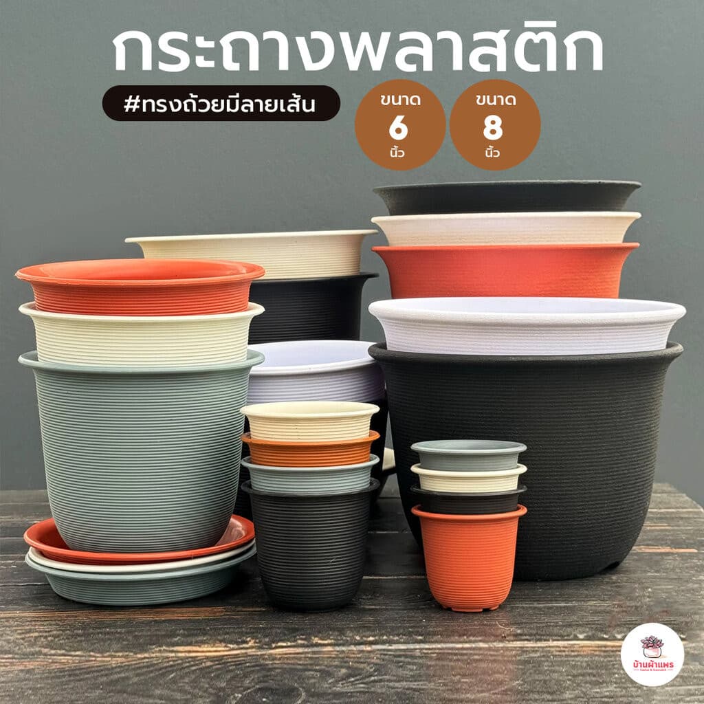 กระถางพลาสติก 6นิ้ว - 8นิ้ว #ทรงถ้วยมีลายเส้น กระถางพลาสติก กระถางแคคตัส กระถางกระบองเพชร รูปที่ 1