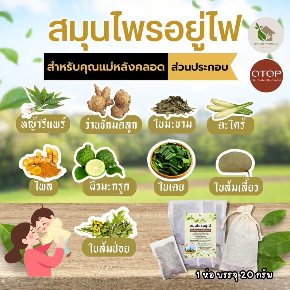 สมุนไพรอยู่ไฟ สมุนไพรอบตัว สูตรคุณแม่หลังคลอด พุงยุบ ลดไว ลดน้ำหนัก กระตุ้นน้ำนม รูปที่ 2