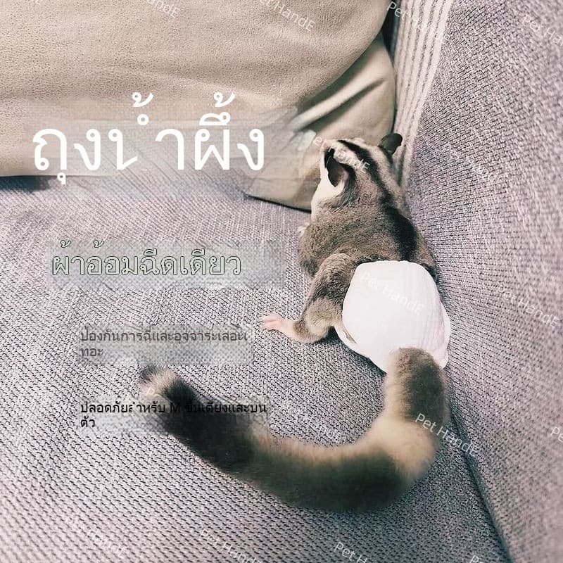 Honey Bag Diapers ผ้าอ้อมแบบใช้แล้วทิ้ง Little Honey Outing Handy Tool Bedwetting Hamster Small Pets Dedicated Squirrel Diaper รูปที่ 1