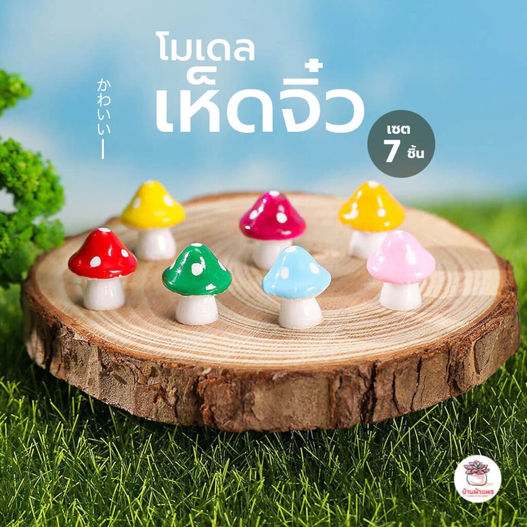 เห็ดจิ๋ว ตุ๊กตาจิ๋ว โมเดลจิ๋ว แต่งสวน ตุ๊กตาแต่งสวนจิ๋ว ตุ๊กตาจัดสวนถาด รูปที่ 1