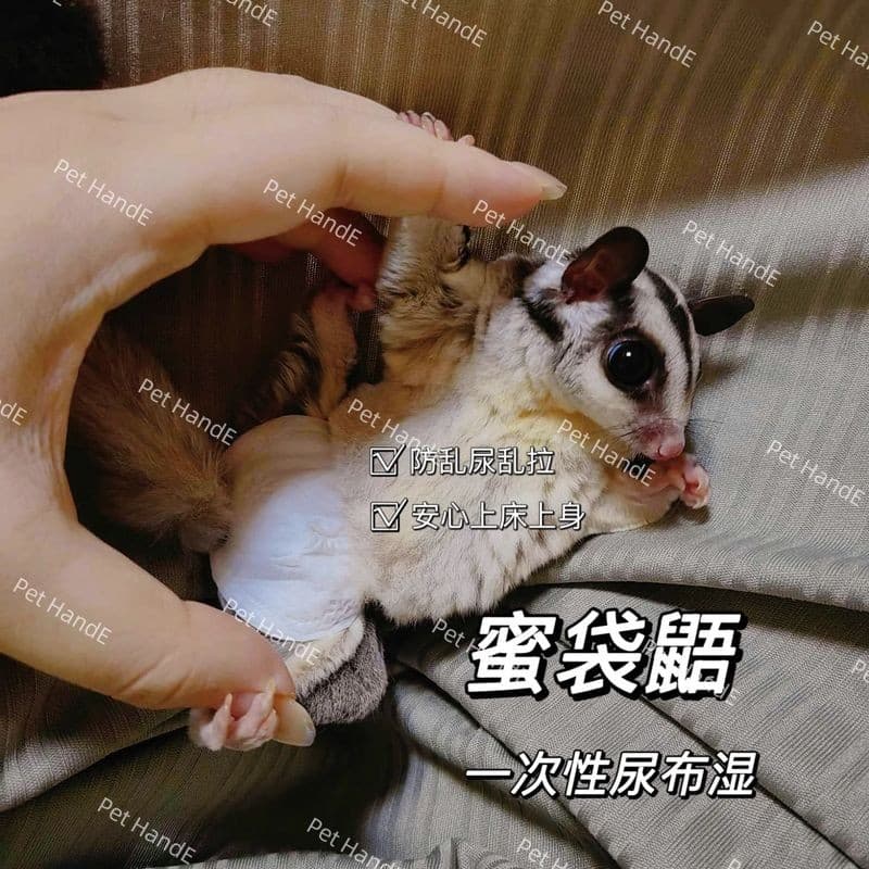 Honey Bag Diapers ผ้าอ้อมแบบใช้แล้วทิ้ง Little Honey Outing Handy Tool Bedwetting Hamster Small Pets Dedicated Squirrel Diaper รูปที่ 3