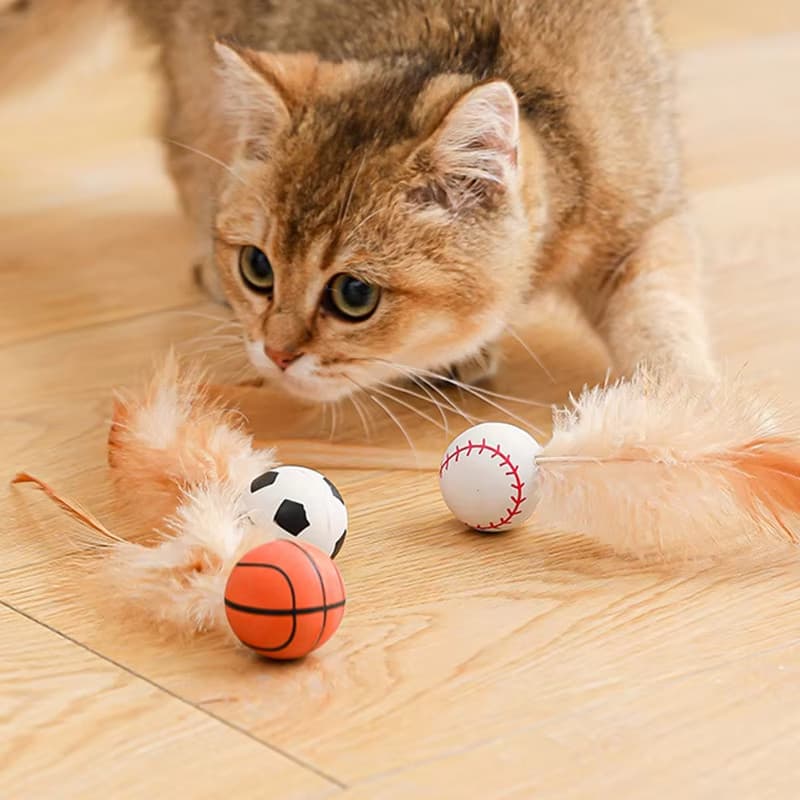 Cat Teaser Bouncy Ball with Feathers and Molar Fun Self-fun To บรรเทาความเบื่อหน่าย ของเล่นแมวที่น่าสนใจที่มีสีสันผลิตภัณฑ์สําหรับสัตว์เลี้ยง รูปที่ 5