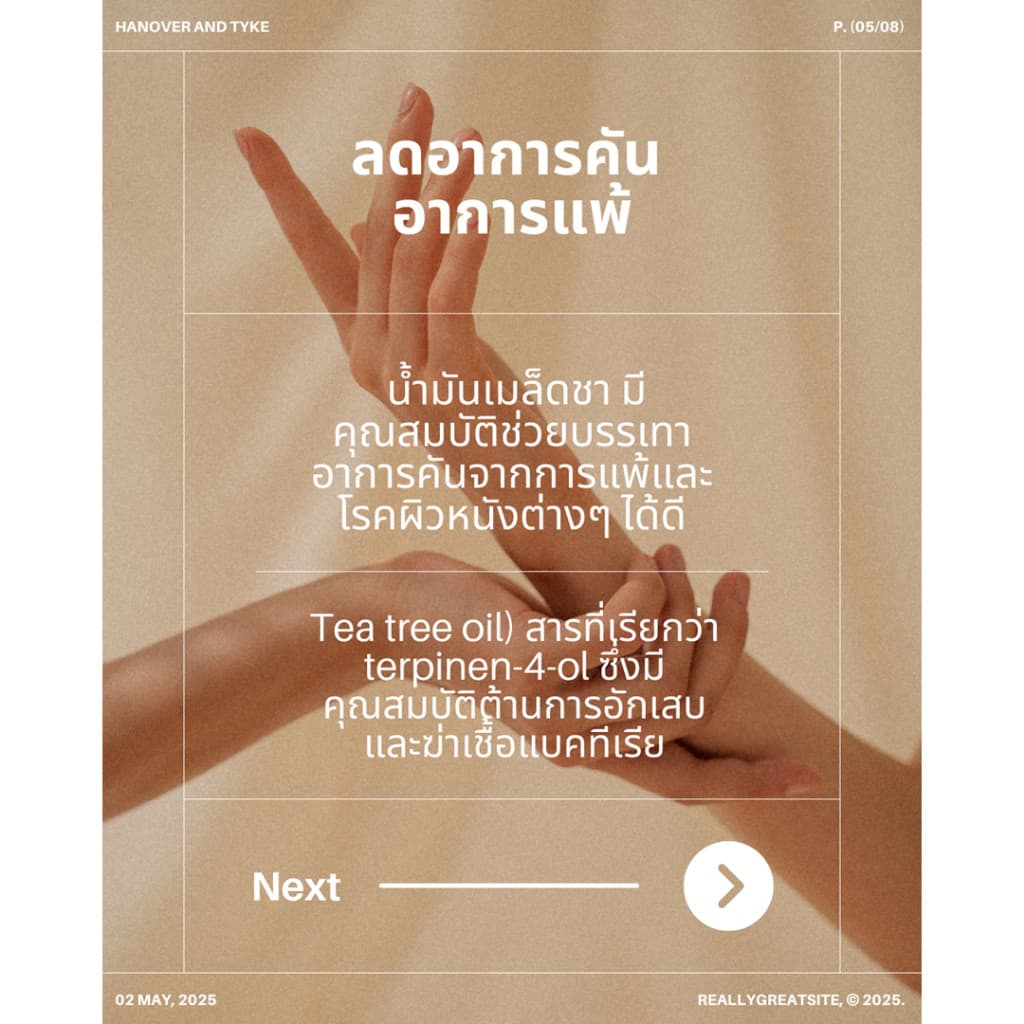 Tea Tree Oil 100% น้ำมันเมล็ดชา หรือน้ำมัน ทีทรี ออย 100% ขนาด 10 มล/30 มล. รูปที่ 7