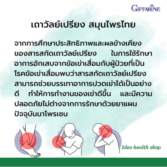 เถาวัลย์เปรียงสกัด กิฟฟารีน ยาแคปซูลเถาวัลย์เปรียงสกัด ยาแผนไทย รูปที่ 4