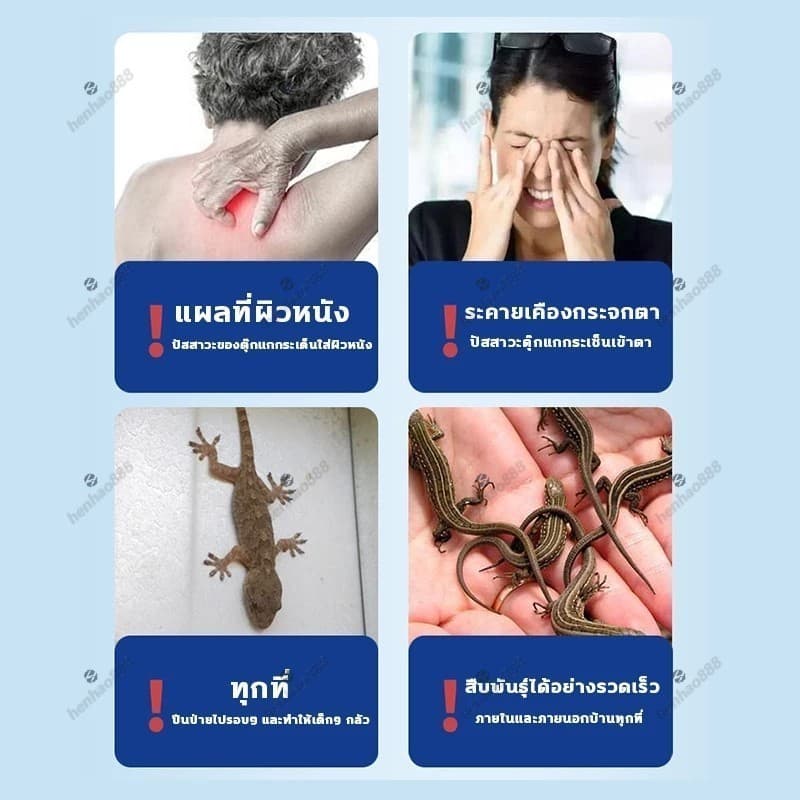 ครีมกำจัดจิ้งจก ยากำจัดจิ้งจก ยาฆ่าจิ้งจก ไล่ตุ๊กแกถาวร ไล่ตุ๊กแก 8 ชิ้น/กล่อง ผลยาวนาน ปลอดภัยสำหรับคนและสัตว์เลี้ยง รูปที่ 3