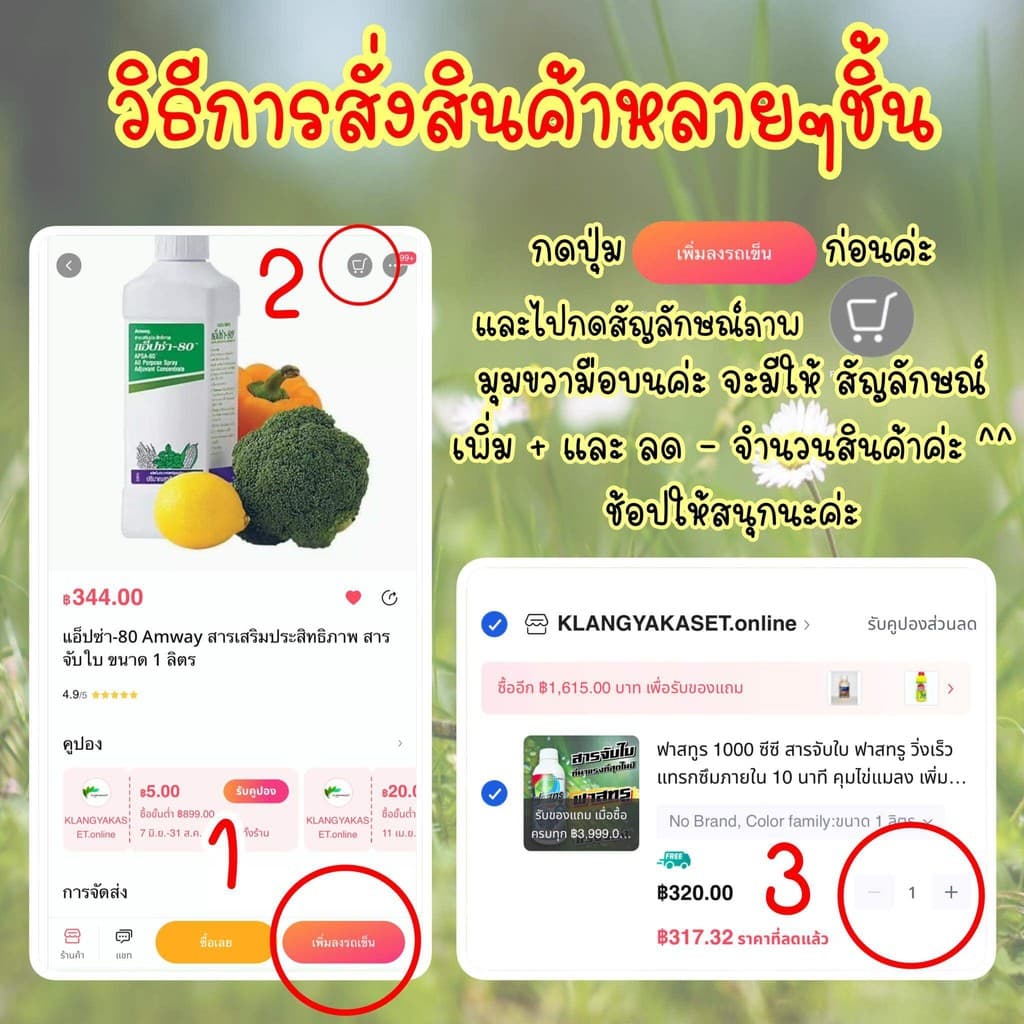 คลอโรบิน ขนาด 1 ลิตร คลอโรทาโลนิล +อะซอกซีสโตรบิน เรดโรบิน ป้องกันกำจัดเชื้อราออกฤทธิ์ทั้ง สัมผัส และดูดซึม โรคใบไหม้ รูปที่ 3